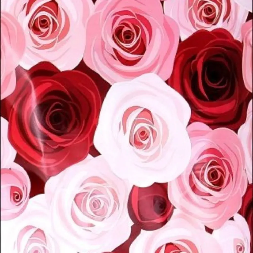 ❗️Restocked❗️20- 10x13 ROSES Floral Design Poly Mailers
